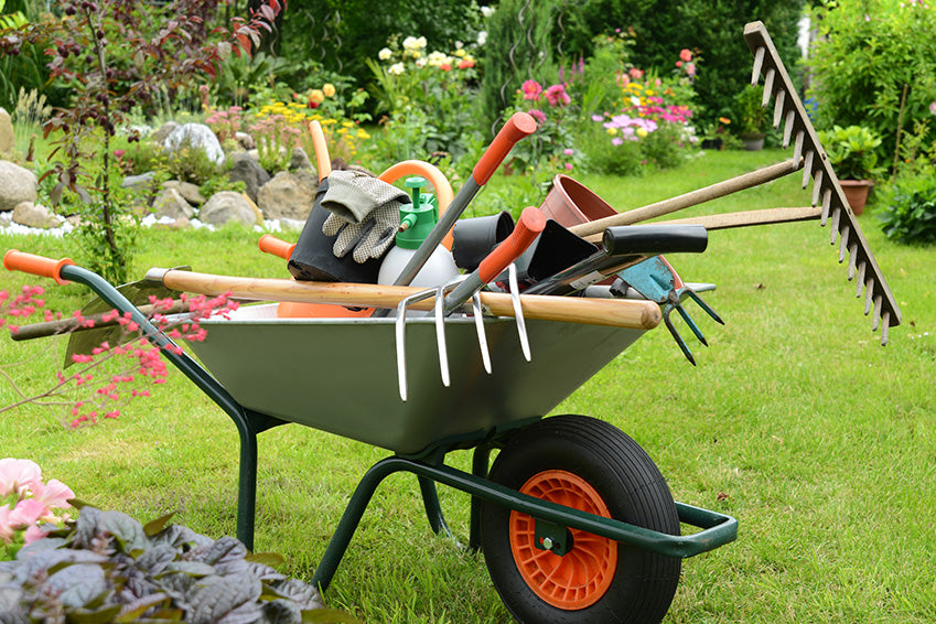 Tools & Supplies