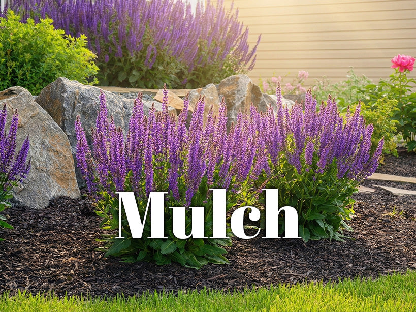 Mulch