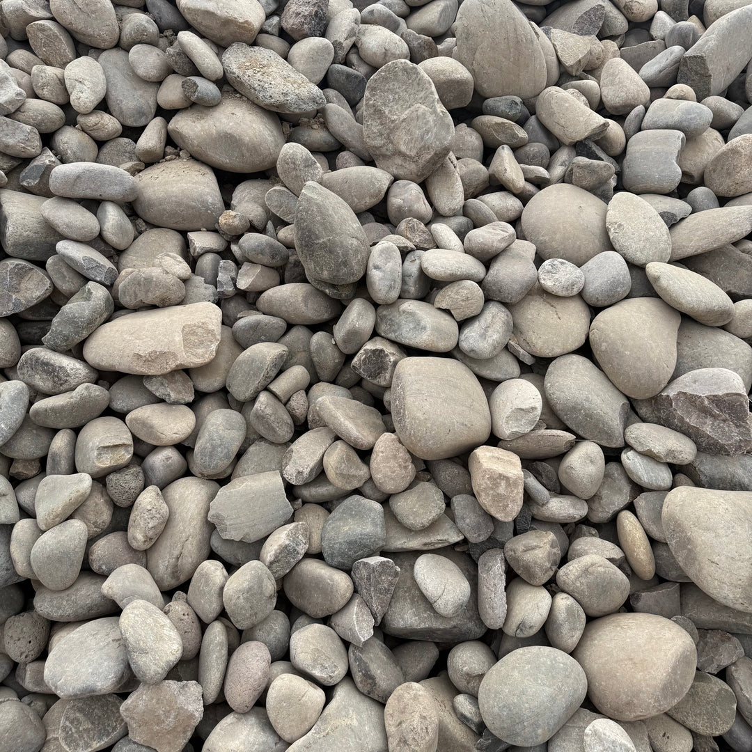 New Mexico River Rock